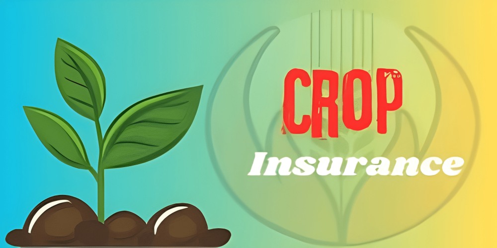 CSC Crop Insurance: Simplifying Financial Security for Farmers