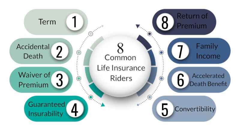 term insurance riders