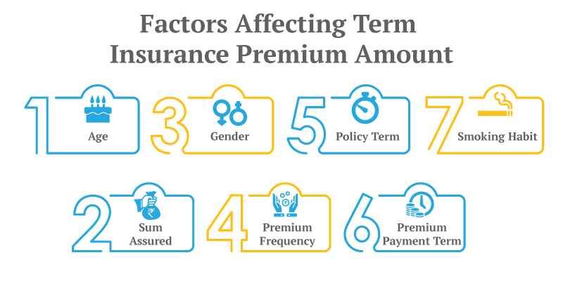 insurance term